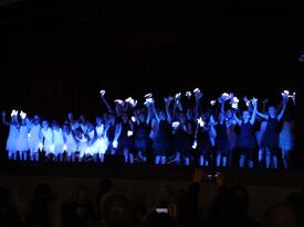 Gala de Danse des Amazones